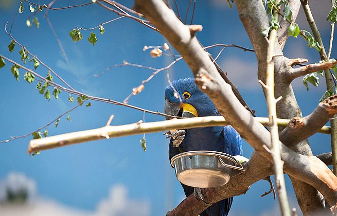 无需付费激活的小七电话在线网页轰炸