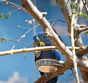 怎么买便宜正版的在线短信网页版免费版