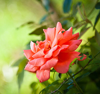 轰炸手机号信息软件免费版