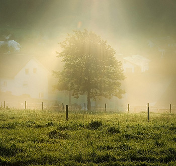 免费电话短信轰炸机