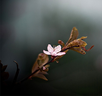 轰炸手机号信息软件免费版