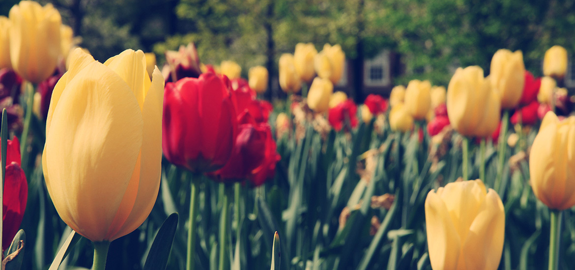 手机号验证码轰炸免费