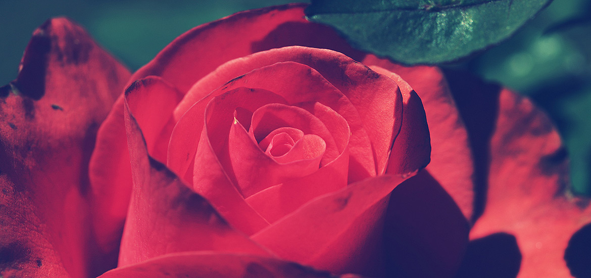 呼死您软件免费